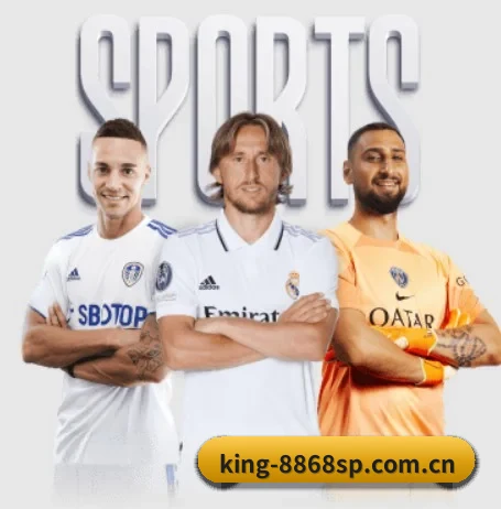 king-8868sp.com.cn的方向